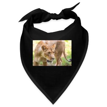 Löwin Löwin Panthera leo - Bandana - Schwarz - Vorne