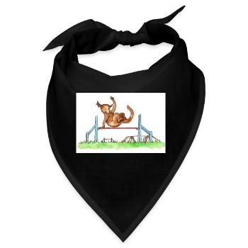 Agility Hürde - Bandana - Schwarz - Vorne