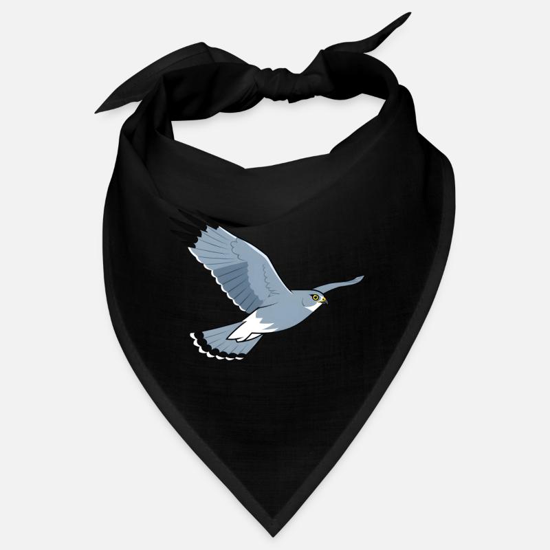 Kornweihe Circus Cyaneus Greifvogel Bandana