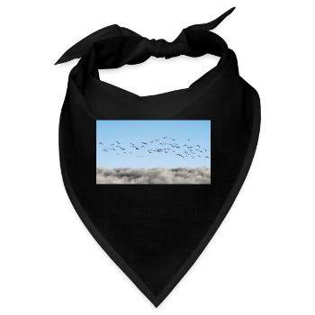 Über den Wolken Vögel - Bandana - Schwarz - Vorne
