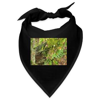 Waldstumpf mit Moos und Farnen - Bandana - Schwarz - Vorne