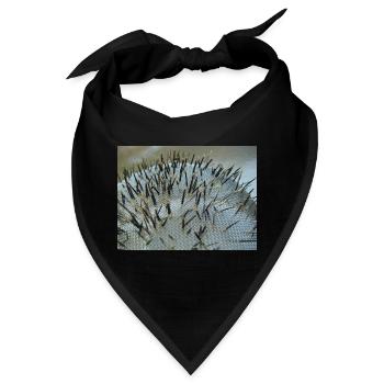 Zufall Witzig Kurios Rätsel Phänomen - Bandana - Schwarz - Vorne