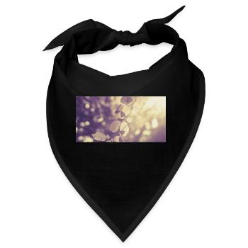 Zweig in Gegenlicht - Bandana - Schwarz - Vorne