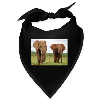 Zwei Elefanten auf Savanne - Bandana - Schwarz - Vorne