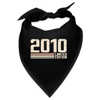 2010 Jahrgang 2010 Geburtstag 2010 Retro 2010 - Bandana - Schwarz - Vorne