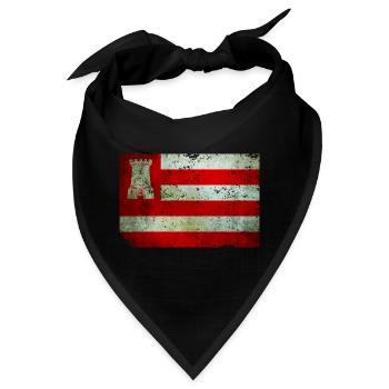 T-Shirt Flagge von Alkmaar Grunge Effekt Nederland - Bandana - Schwarz - Vorne
