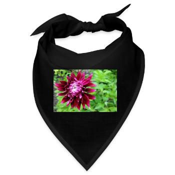 Dahlie, Blume, Blüte rot - Bandana - Schwarz - Vorne