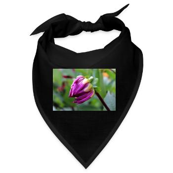Dahlie rot violett Blüte ,Blume - Bandana - Schwarz - Vorne
