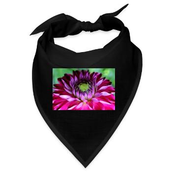 Blume rosa pinke Blume Blumen pink rosa Blumen - Bandana - Schwarz - Vorne
