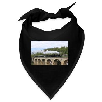 SBB Lok auf Viadukt - Bandana - Schwarz - Vorne