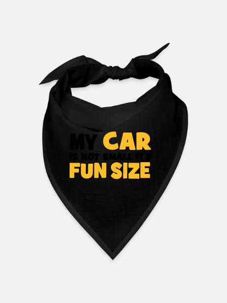 small car - Bandana - black - Front