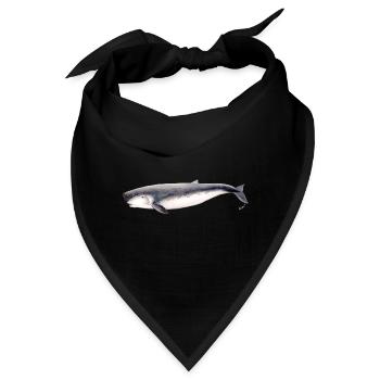 Pygmy Pottwal Pygmy Pottwal Kogia breviceps - Bandana - Schwarz - Vorne