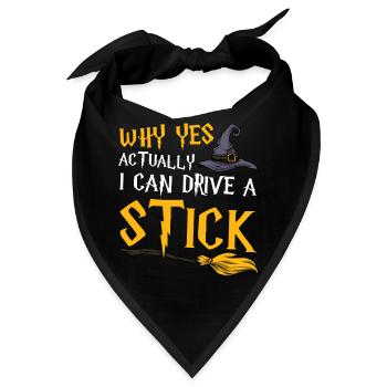 Warum Ja Eigentlich Kann Ich Einen Stock Fahren - Bandana - Schwarz - Vorne