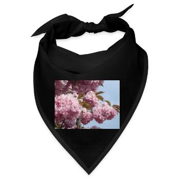 Rosa Zweige vom Zierkirschenbaum - Bandana - Schwarz - Vorne