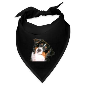 Aussie Nanouk, Kopf - Foto - Bandana - Schwarz - Vorne