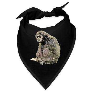 Gibbon - Bandana - Schwarz - Vorne