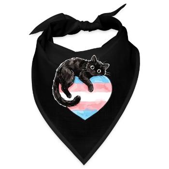 Pride Month LGBTQ – Schütze trans Kinder - Bandana - Schwarz - Vorne