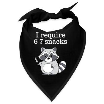 6-7 Internet Meme Cooler 6 7 Waschbär - Bandana - Schwarz - Vorne