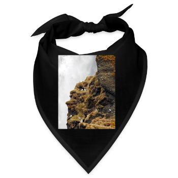 Seevögel, die auf der Klippe nahe dem Wasserfall sitzen, sitzen - Bandana - Schwarz - Vorne