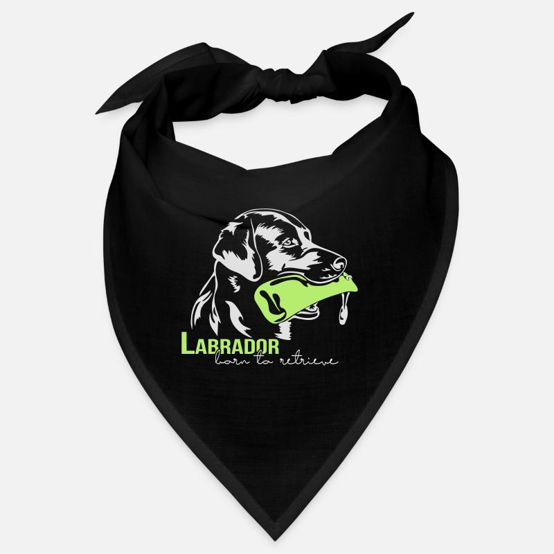 Labrador né pour récupérer Bandana