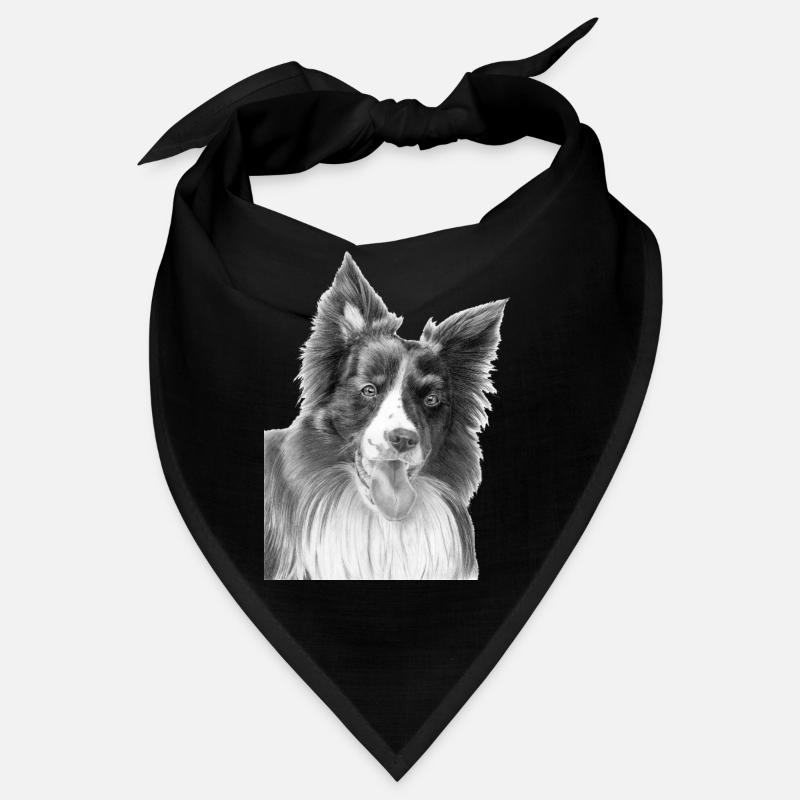 Border collie n°3 Bandana