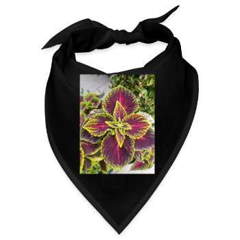 Josephs Mantel auch chinesischer Amaranth - Bandana - Schwarz - Vorne