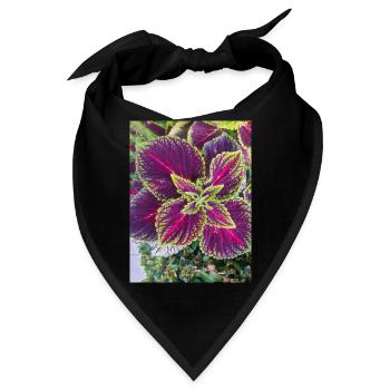 Josephs Mantel auch chinesischer Amaranth - Bandana - Schwarz - Vorne