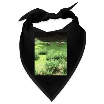 Wildtiere - Bandana - Schwarz - Vorne