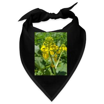 Schwarzer Senf - Bandana - Schwarz - Vorne