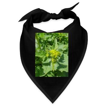 Schwarzer Senf - Bandana - Schwarz - Vorne