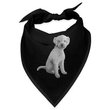 Lagotto Romagnolo - Bandana - Schwarz - Vorne