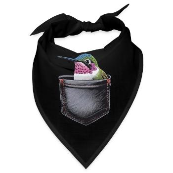 Kolibri - Bandana - Schwarz - Vorne