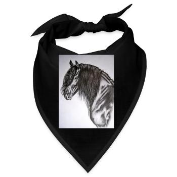 Friese Portrait - Bandana - Schwarz - Vorne