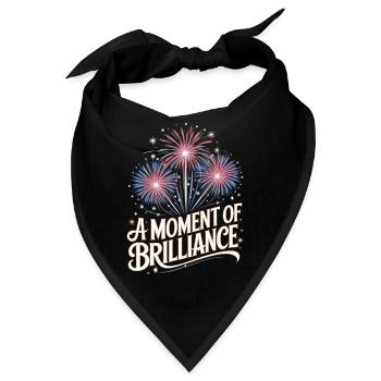 Pyrotechniker Feuerwerk Pyrotechnik - Bandana - Schwarz - Vorne