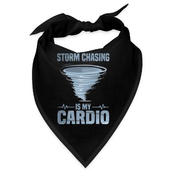 Sturmjäger Shirts | Unwetter Sturm Blitz Geschenke - Bandana - Schwarz - Vorne