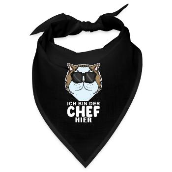 coole Katze - Perserkatze Katze - Chef Spruch - Bandana - Schwarz - Vorne