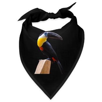 langSchnabel Vögel - Bandana - Schwarz - Vorne