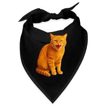 Fauchende orange getigerte Katze - Bandana - Schwarz - Vorne