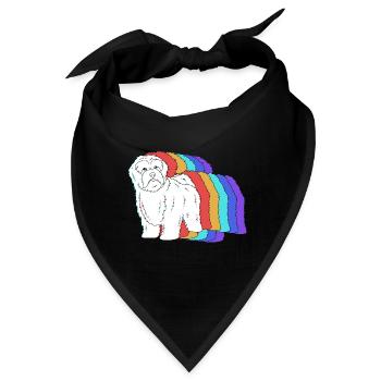 Havaneser - Bandana - Schwarz - Vorne