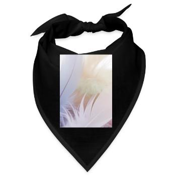 Pastellfarbene Federn - Bandana - Schwarz - Vorne