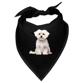 Maltese - Bandana - Schwarz - Vorne