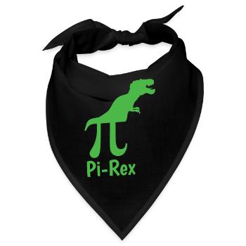Pi-Rex Mathe Mathematik Lehrer Schule Wissenschaft - Bandana - Schwarz - Vorne