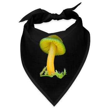 Hygrocybe psittacina feuchter Papagei - Bandana - Schwarz - Vorne