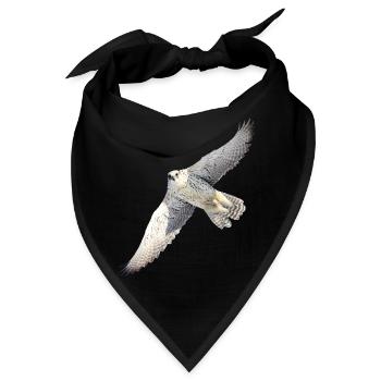 GyrFalcoin Flug - Bandana - Schwarz - Vorne