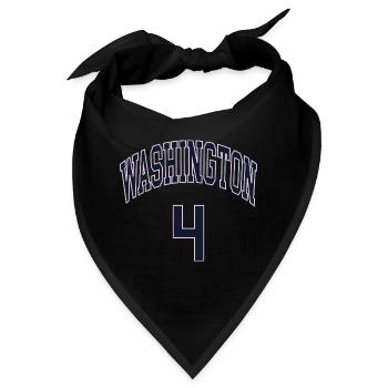 Washington 4 - Bandana - Schwarz - Vorne