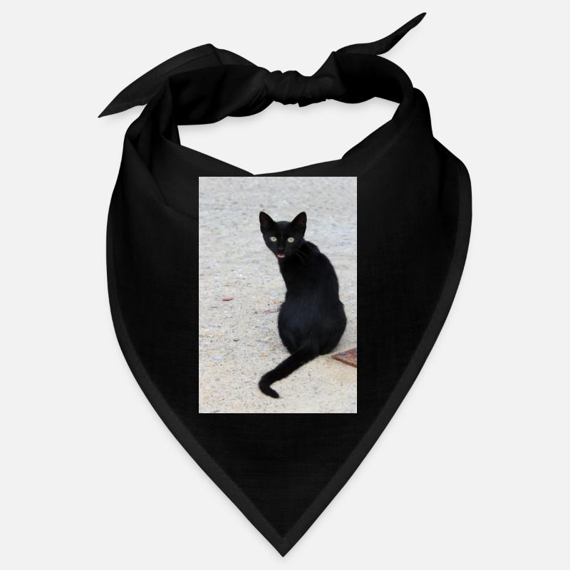 Cat black Bandana
