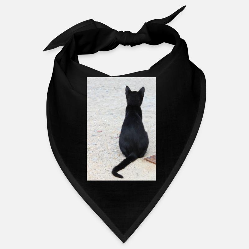 Katze Kätzchen Katzenshirt Geschenk Bandana