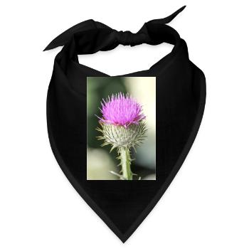 cotton thistle also Scotch or Scottish thistle - Bandana - Schwarz - Vorne