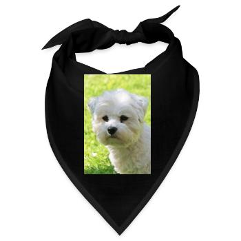 Malteser - Bandana - Schwarz - Vorne