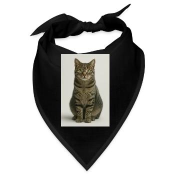 Sitzende getigerte Katzenporträt - Bandana - Schwarz - Vorne